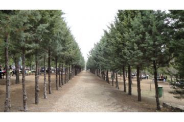 Il Parco San Prospero &#232; aperto dal luned&#236; al sabato, dalle ore 7 alle 12 e dalle 16 alle 21. Per la scarsa affluenza &#232; sospesa l&#39;apertura domenicale,